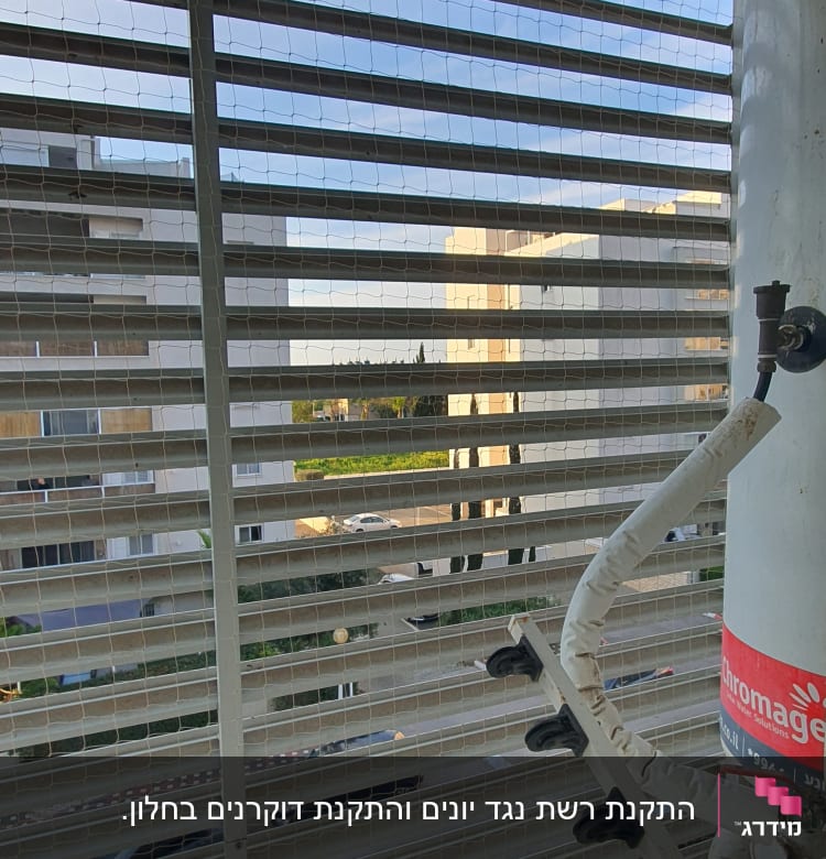 רשת מתכת על חלון עם דוקרנים למניעת יונים